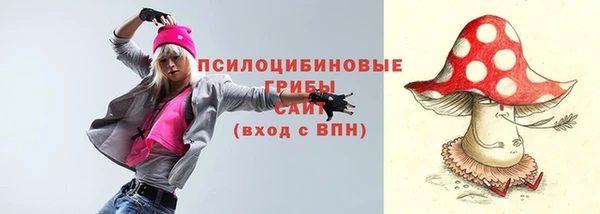 мяу мяу мука Белокуриха