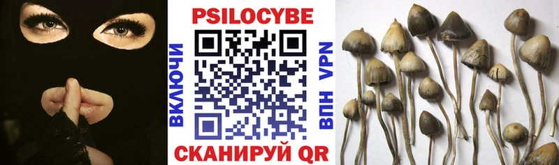 Псилоцибиновые грибы ЛСД  как найти закладки  Вязьма 